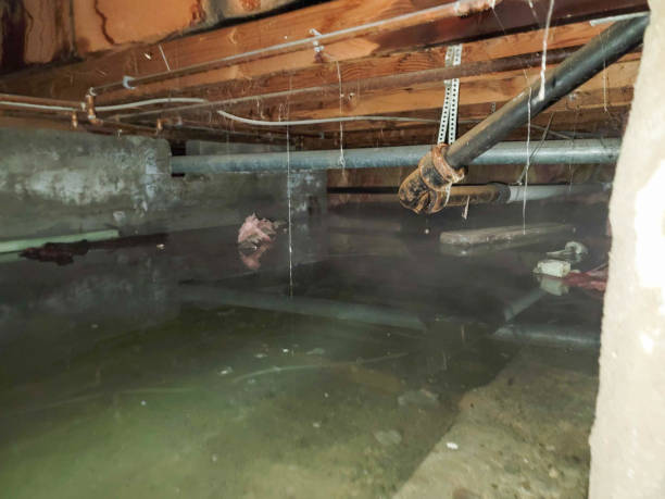 Water damage restoration process in Great Falls, VA