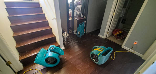 Trusted Great Falls, VA Water damage restoration Experts