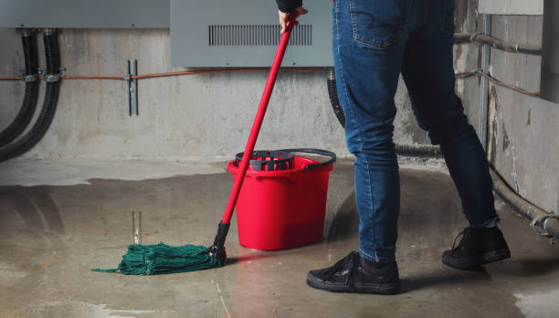 Best Ceiling water damage repair  in Great Falls, VA