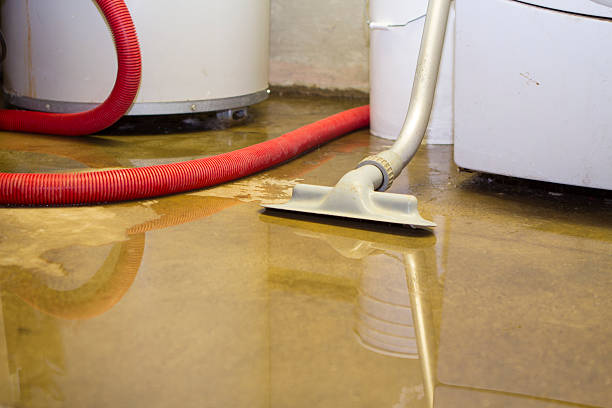 Best Local water damage restoration  in Great Falls, VA