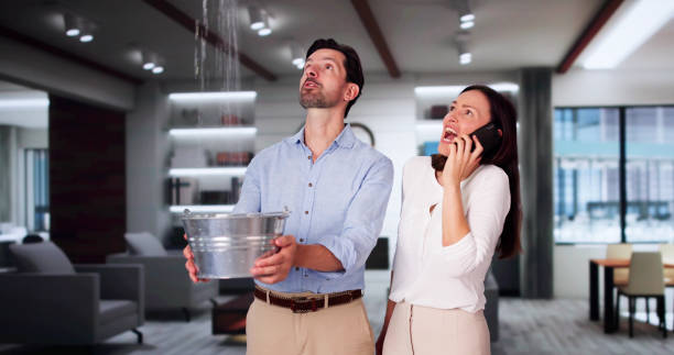 Best Professional water damage repair  in Great Falls, VA