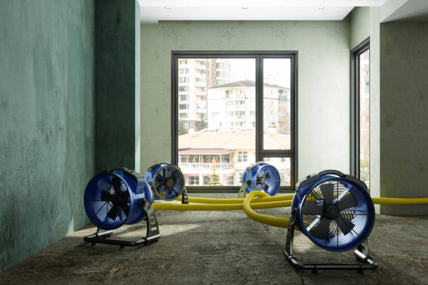 Best Fire Damage Restoration  in Great Falls, VA